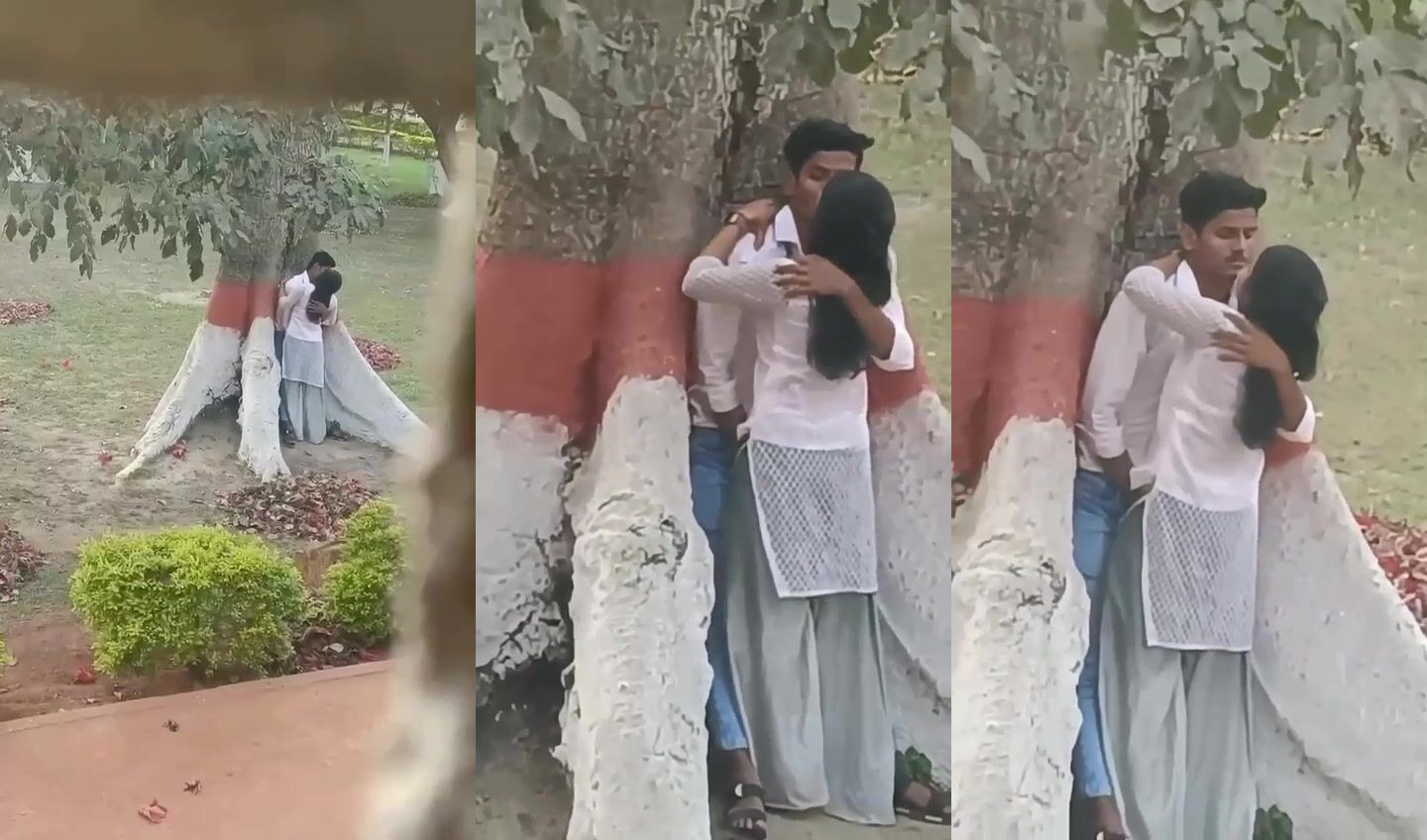 College hot lovers romancing behind tree caught by teacher